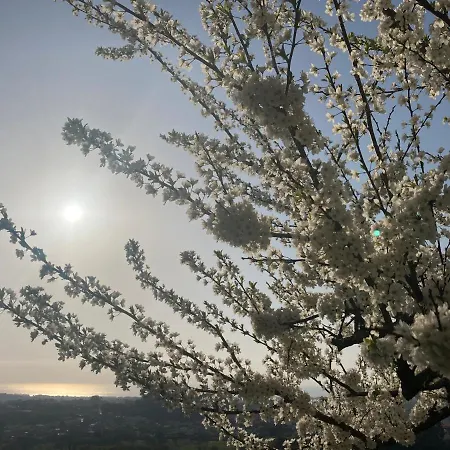 Alfazema Sunset House 3* Vila Nova de Gaia