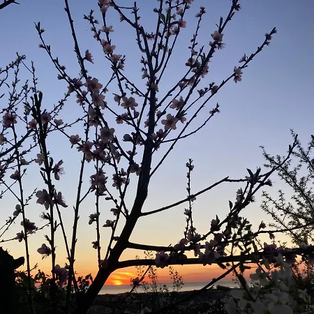 Alfazema Sunset House 3* Vila Nova de Gaia