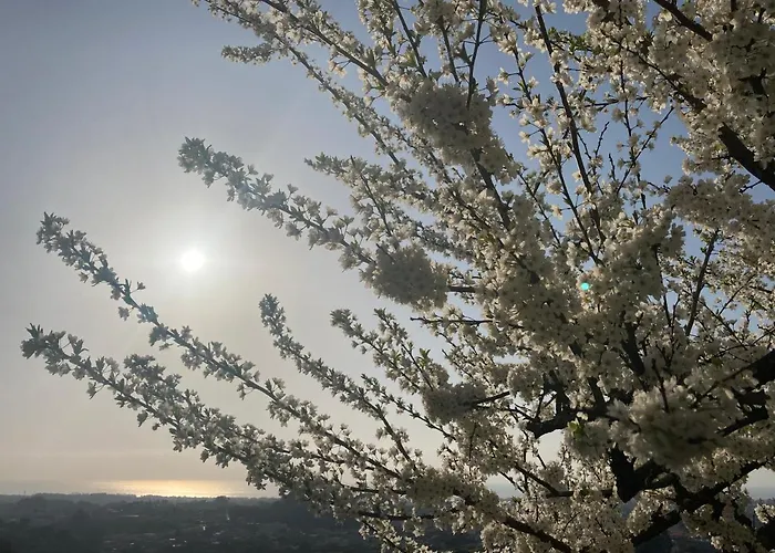 Alfazema Sunset House 3* Vila Nova de Gaia