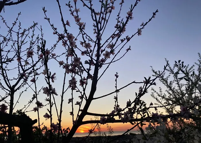 Alfazema Sunset House 3* Vila Nova de Gaia